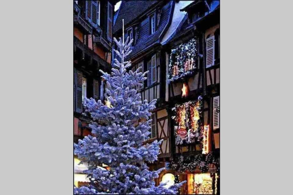 Апартаменты Coeur Alsace Кольмар Экстерьер фото