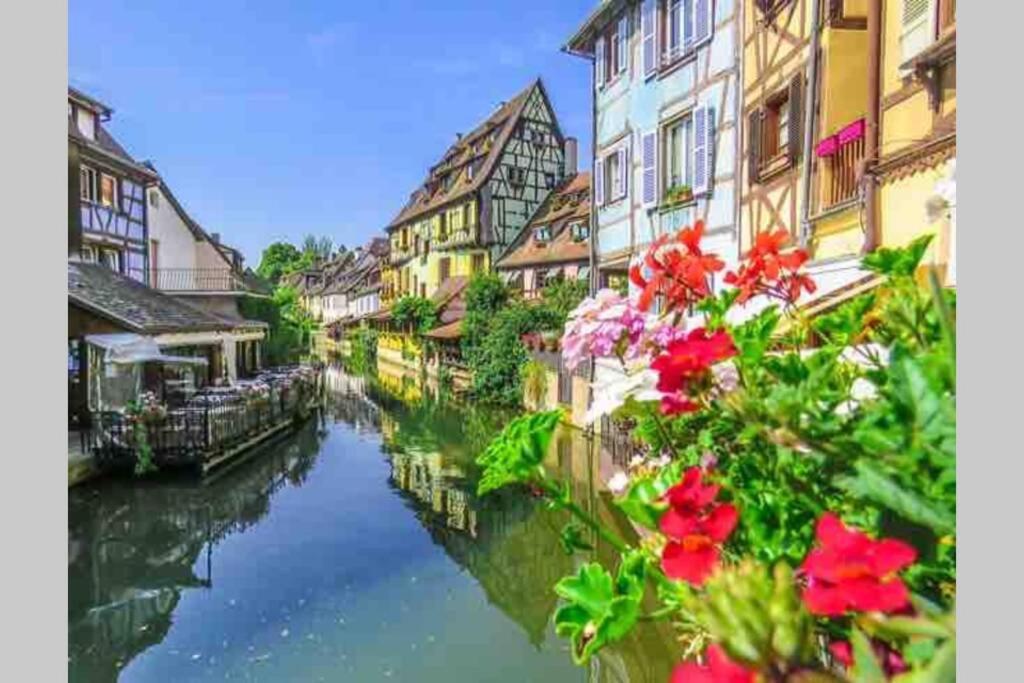 Апартаменты Coeur Alsace Кольмар Экстерьер фото