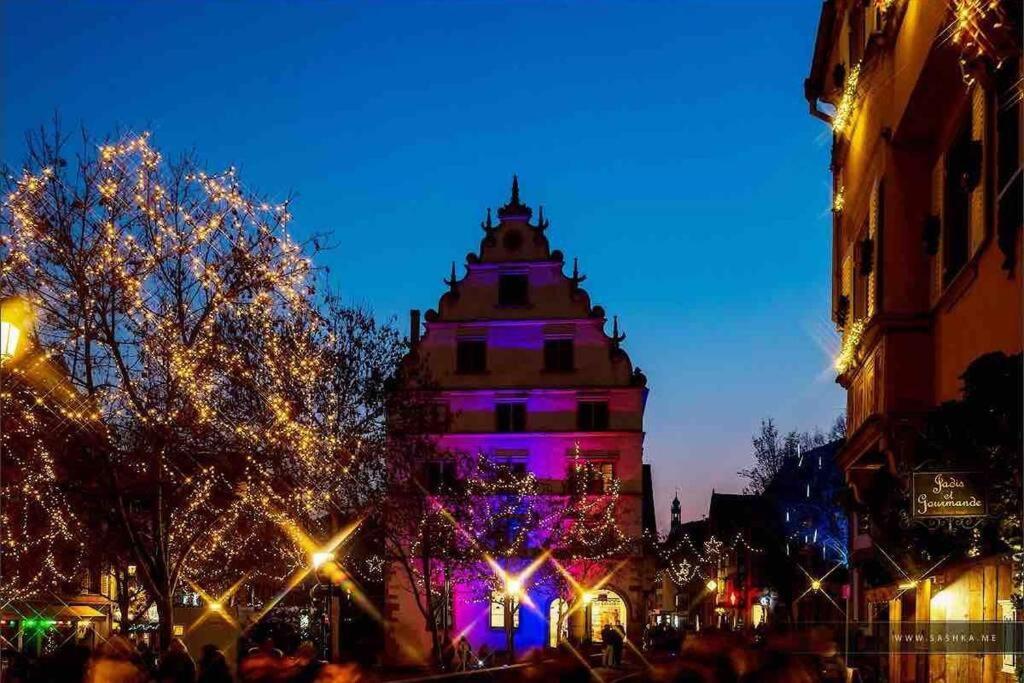 Апартаменты Coeur Alsace Кольмар Экстерьер фото