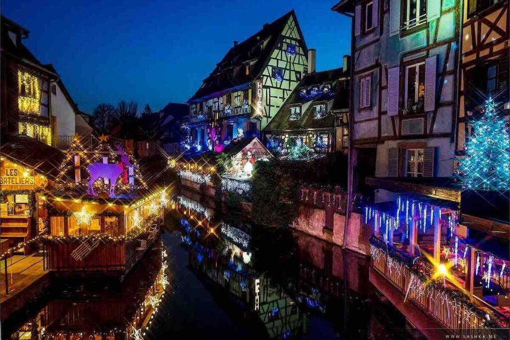 Апартаменты Coeur Alsace Кольмар Экстерьер фото