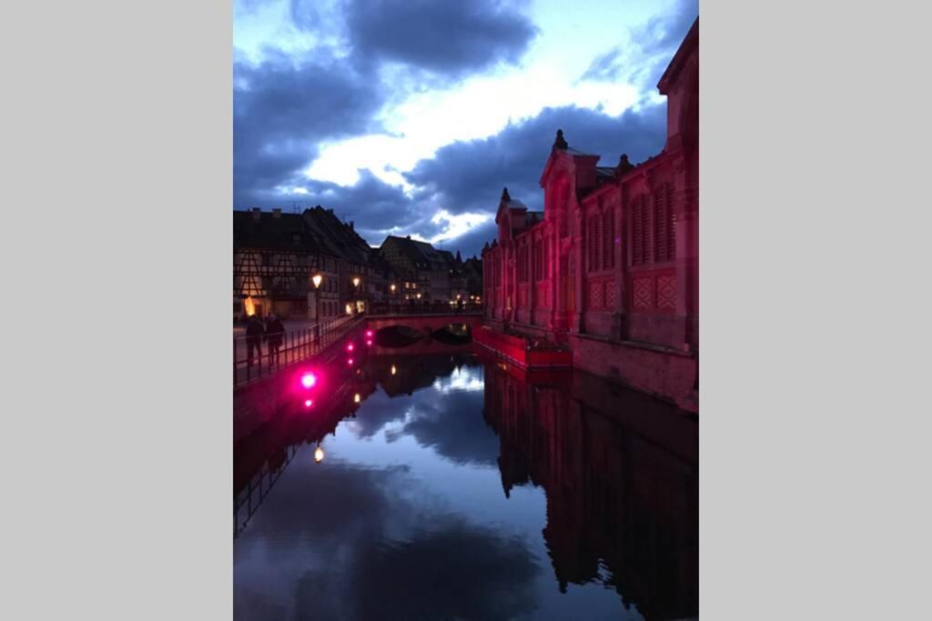 Апартаменты Coeur Alsace Кольмар Экстерьер фото