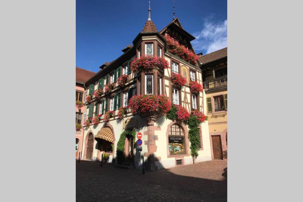 Апартаменты Coeur Alsace Кольмар Экстерьер фото