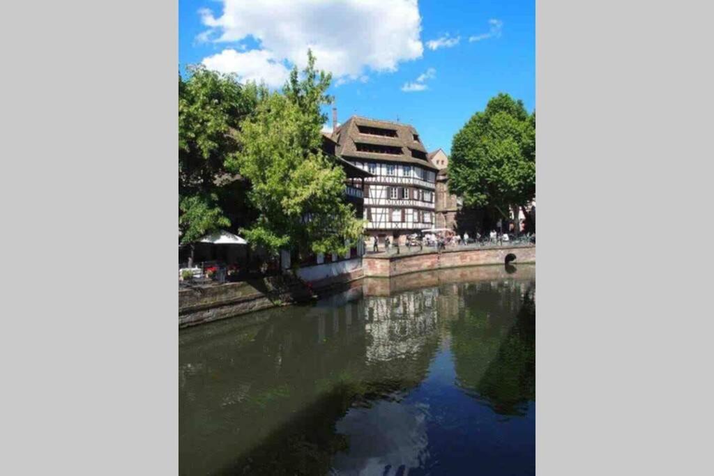 Апартаменты Coeur Alsace Кольмар Экстерьер фото
