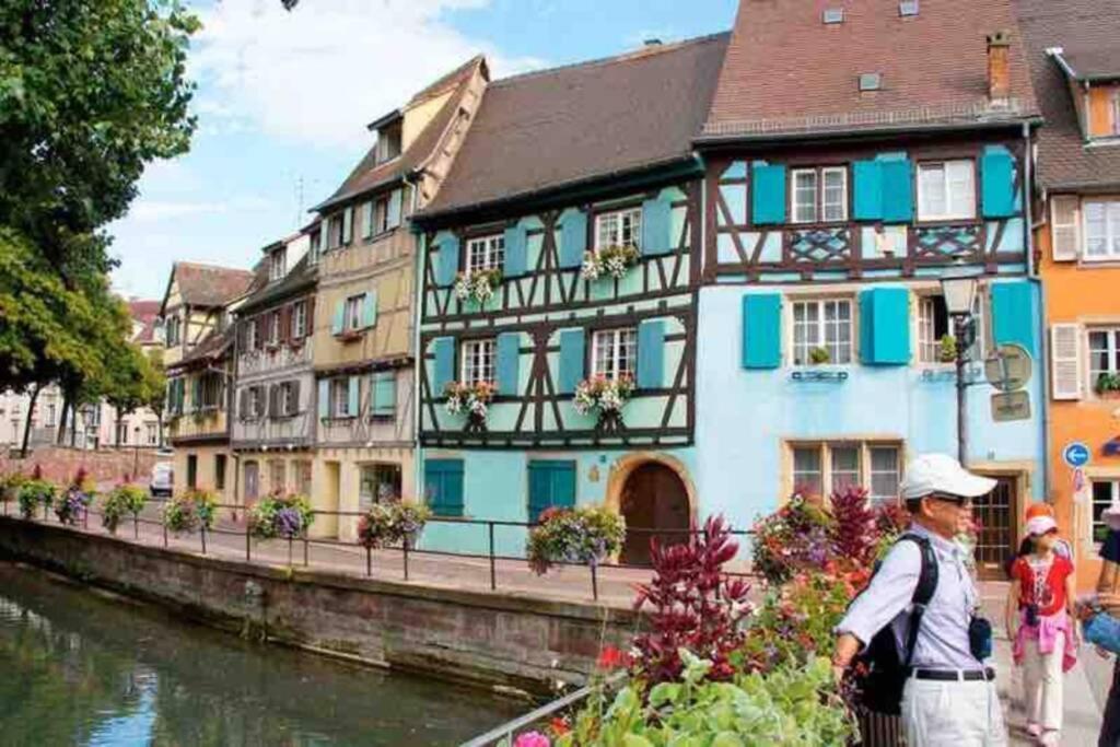 Апартаменты Coeur Alsace Кольмар Экстерьер фото