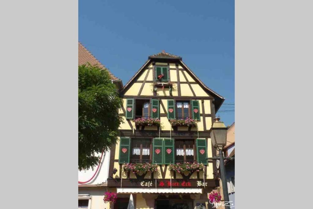 Апартаменты Coeur Alsace Кольмар Экстерьер фото