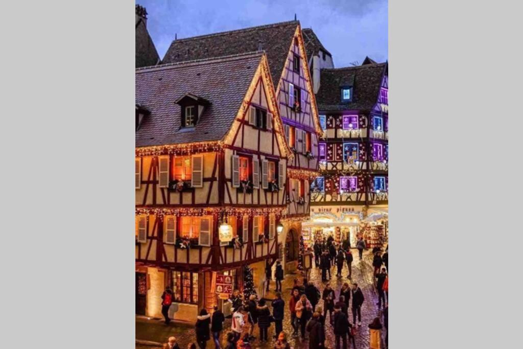 Апартаменты Coeur Alsace Кольмар Экстерьер фото