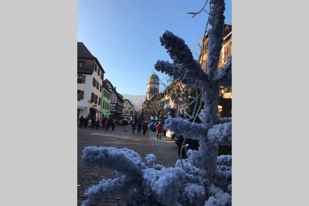 Апартаменты Coeur Alsace Кольмар Экстерьер фото