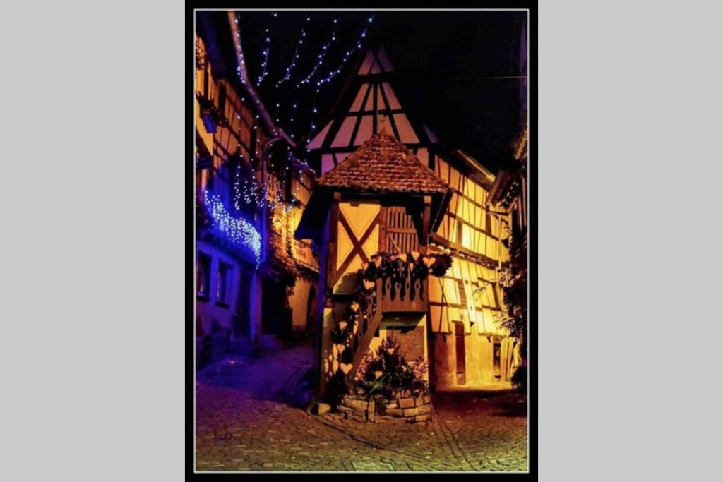 Апартаменты Coeur Alsace Кольмар Экстерьер фото
