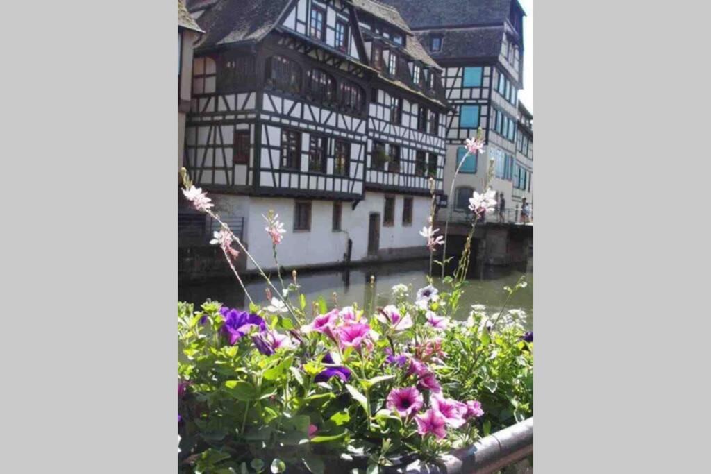 Апартаменты Coeur Alsace Кольмар Экстерьер фото