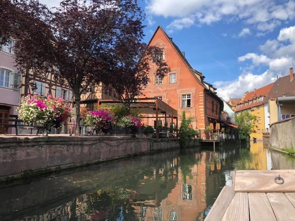 Апартаменты Coeur Alsace Кольмар Экстерьер фото